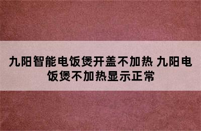 九阳智能电饭煲开盖不加热 九阳电饭煲不加热显示正常